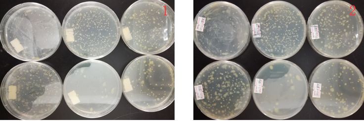 “超聲波處理對稻谷表面微生物的影響”發(fā)表論文啦??！